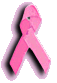 Race for the Cure - Support the fight against Breast Cancer.