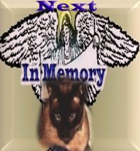 Pet Memorial [Next Site]
